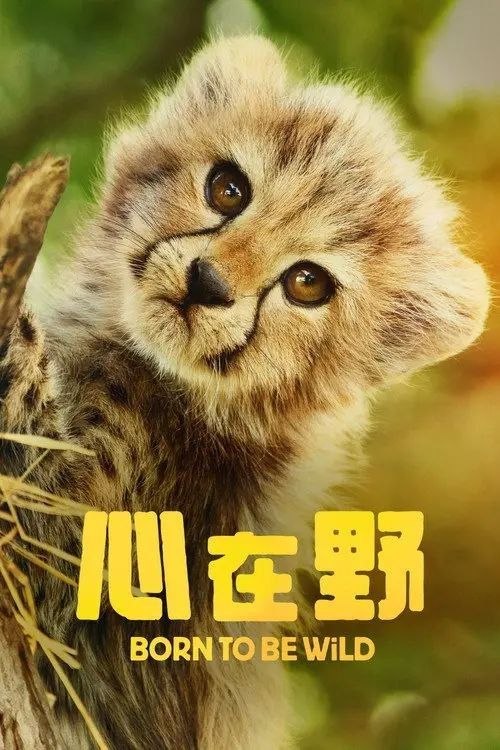 资源分享图片 1
